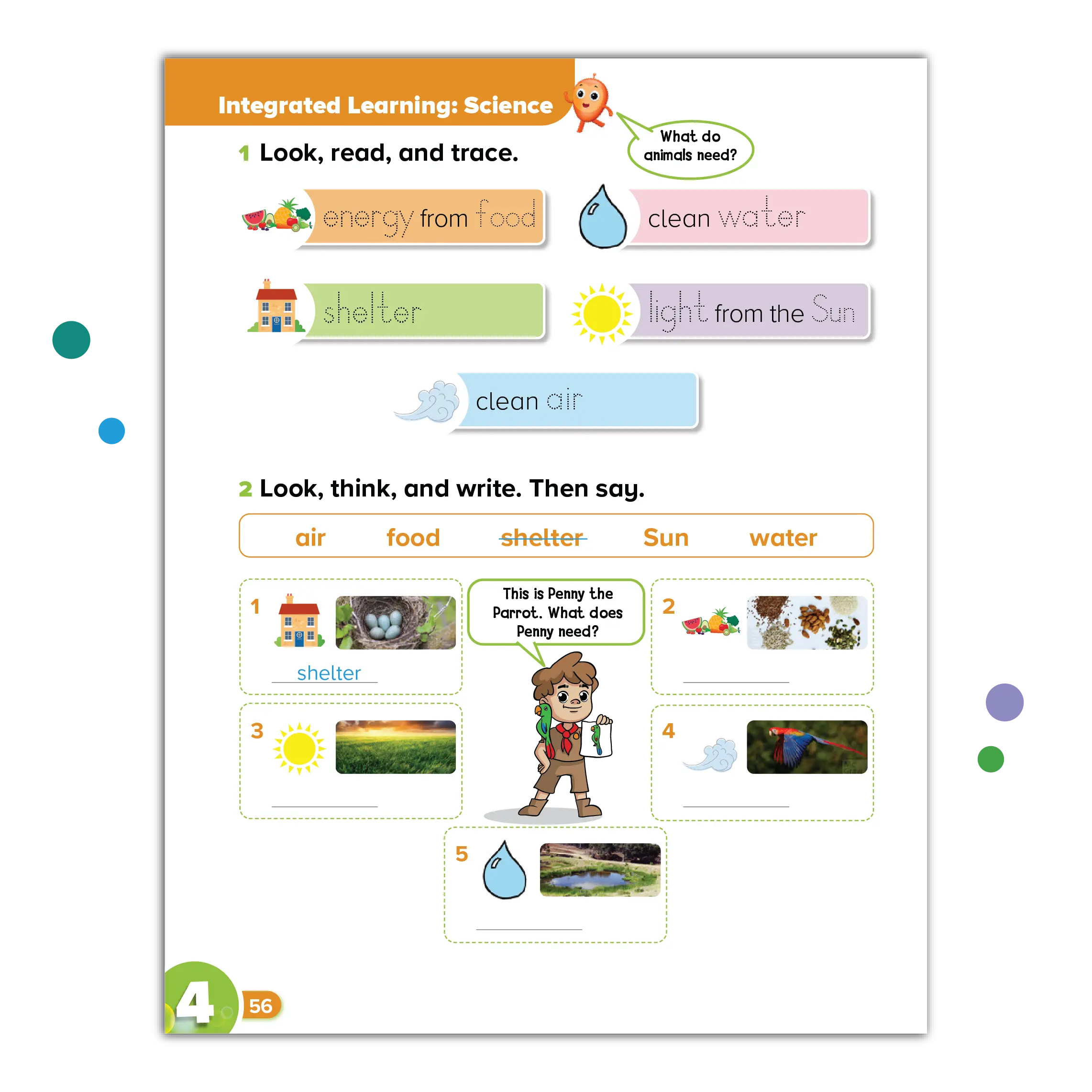 An integrated learning science lesson.