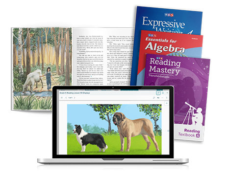 Direct Instruction covers and screenshot