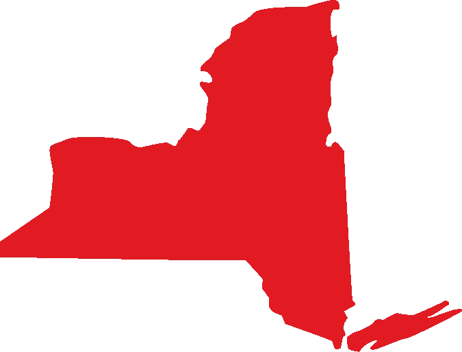 New York Microsite logo